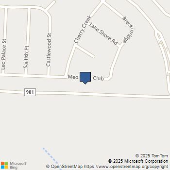 372 Medallion Club Street Gordonville, TX MLS# 21122415