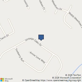2111 Vintage Oaks Drive Loganville, GA MLS# 10768911