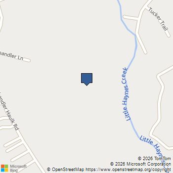 208 Chandler Walk Loganville, GA MLS# 10708059