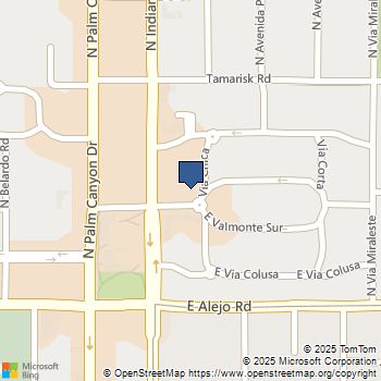 276 E Granvia Valmonte Palm Springs, CA MLS# 219135106PS