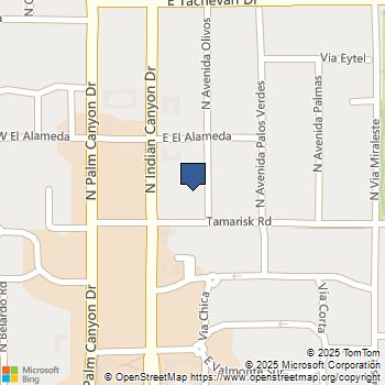 839 N Avenida Olivos Palm Springs, CA MLS# 219132183DA