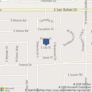 644 E Lily Street Palm Springs, CA MLS# 219135664PS