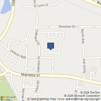 4414 George David Way Powder Springs, GA MLS# 10786840