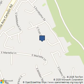 185 S Trish Court Anaheim Hills, CA MLS# PW25152593