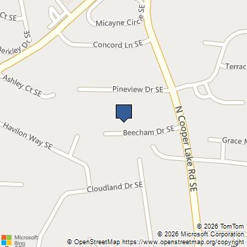 517 Beecham Drive SE Smyrna, GA MLS# 10879669