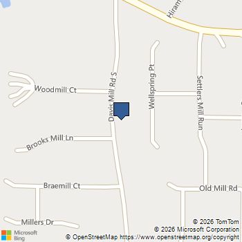203 Davis Mill Road S Dallas, GA MLS# 10868450