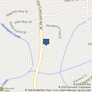 3021 Old Concord Road SE Smyrna, GA MLS# 10691070