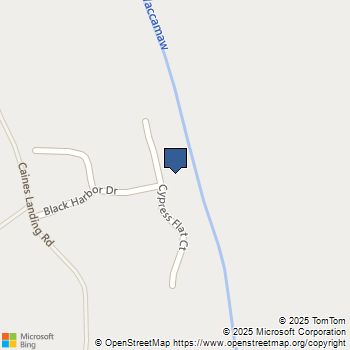 321 Cypress Flat Ct. Conway, SC MLS# 2428094