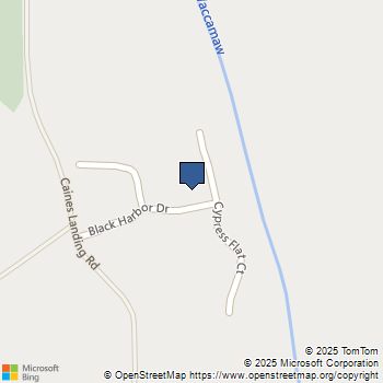 320 Cypress Flat Ct. Conway, SC MLS# 2400549