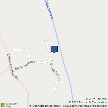 317 Cypress Flat Ct. Conway, SC MLS# 2501485