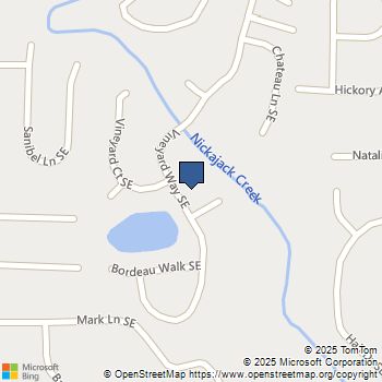 3025 Vineyard Way SE Smyrna, GA MLS# 7691669