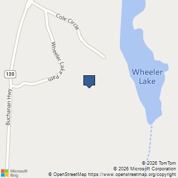 203 Wheeler Lake Path Dallas, GA MLS# 10810771