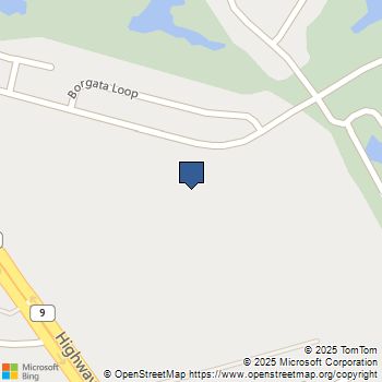 338 Ridley St Longs, SC MLS# 2524273