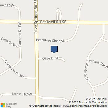 57 SE Olive Lane Marietta, GA MLS# 10651793