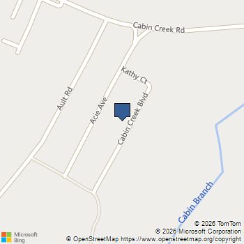 210 Cabin Creek Boulevard Hopkins, SC MLS# 636980