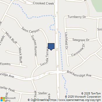 380 Lucinda Terrace Beaumont, CA MLS# EV23190747