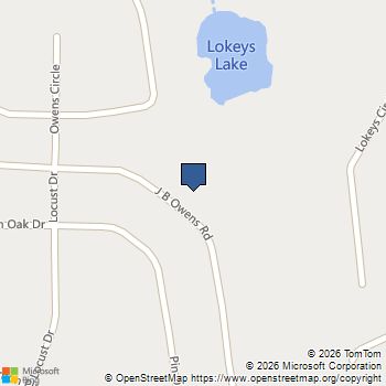 587 J B Owens Road Bethlehem, GA MLS# 10785756