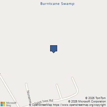 381 Saint Ives Rd. Longs, SC MLS# 2612103