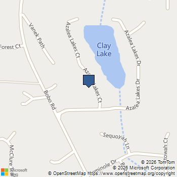 57 Azalea Lakes Court Dallas, GA MLS# 10855677