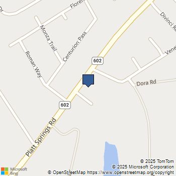 4107 Platt Springs Road West Columbia, SC MLS# 623281