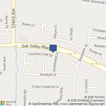 1356 Comfrey Leaf Drive Beaumont, CA MLS# PW26002448