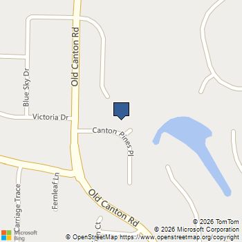 3017 Canton Pines Place Marietta, GA MLS# 7760569