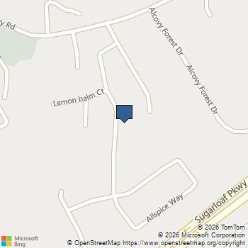 1377 Allspice Way Lawrenceville, GA MLS# 10872204