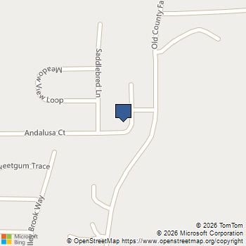 56 Andalusa Court Dallas, GA MLS# 7809173