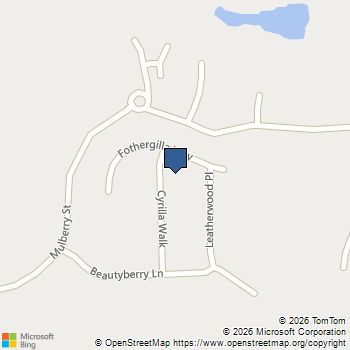 33 Cyrilla Walk Dallas, GA MLS# 7787555