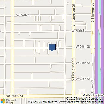 542 W 76th Street Los Angeles, CA MLS# 25587023