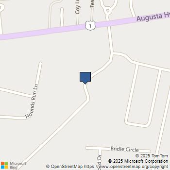 230 Horse Farm Place Lexington, SC MLS# 622799