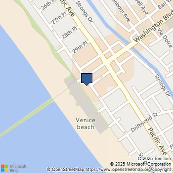 3111 Ocean Front Walk Marina del Rey, CA MLS# SB25229149