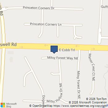 3273 Mitsy Forest Way NE Marietta, GA MLS# 10808029