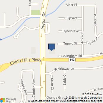 3320 Chino Hills Chino Hills, CA MLS# EV24048793