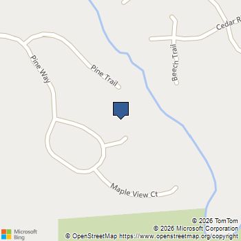 75 Pine Creek Court LOT 69 Dallas, GA MLS# 10814893