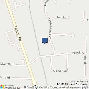 2201 Lessie Maude Drive Marietta, GA MLS# 10634252