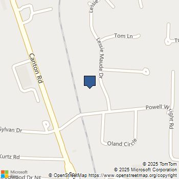 2201 Lessie Maude Drive Marietta, GA MLS# 10634252