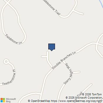 60 Amberlily Court Dallas, GA MLS# 10820386
