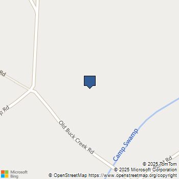 150 River Birch Dr. Loris, SC MLS# 2519411