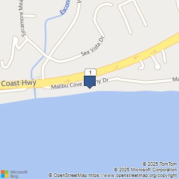 27086 Malibu Cove Colony Drive Malibu, CA MLS# 25571489