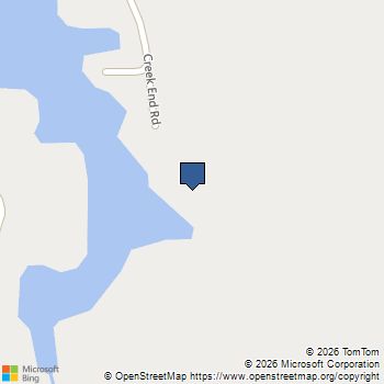 347 Creek End Road Gilbert, SC MLS# 643391