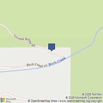 38838 Birch Creek Oak Glen, CA MLS# IV25253989