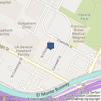 1140 N Chicago Los Angeles, CA MLS# DW25253577