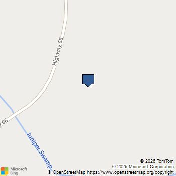 915 Farmers Passage Loop Loris, SC MLS# 2605295