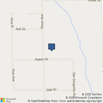 10277 Pinon Avenue Morongo Valley, CA MLS# JT25190309