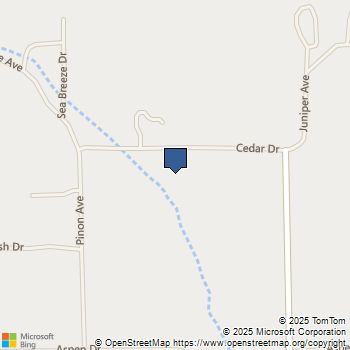 49191 Cedar Drive Morongo Valley, CA MLS# 219135965PS