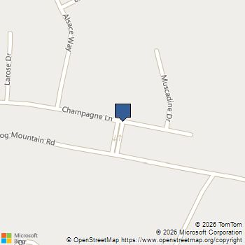 5917 Cabernet Lane Braselton, GA MLS# 10737757