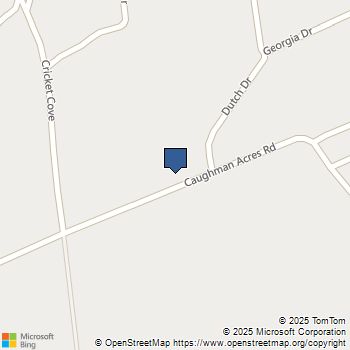 Lot 1 Caughman acres Phase 2 Lot 1 Leesville, SC MLS# 620409