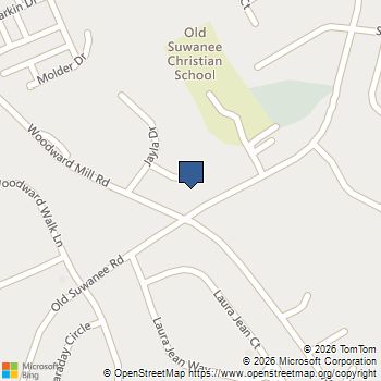 867 Alaina Marie Court Buford, GA MLS# 7713600