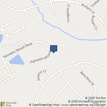 8 Palmetto Wood Court Irmo, SC MLS# 624924